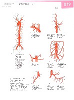 Sobotta Atlas of Human Anatomy  Head,Neck,Upper Limb Volume1 2006, page 26
